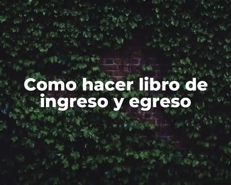 Como hacer libro de ingreso y egreso