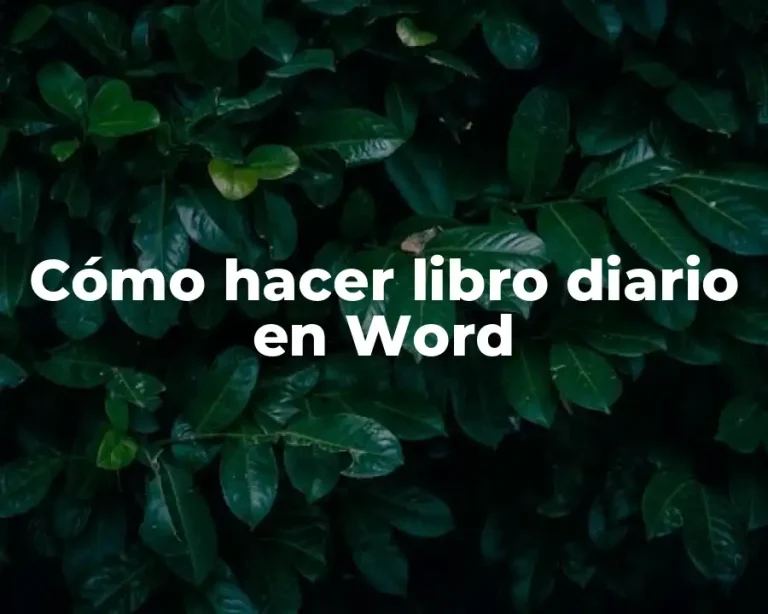Cómo hacer libro diario en Word