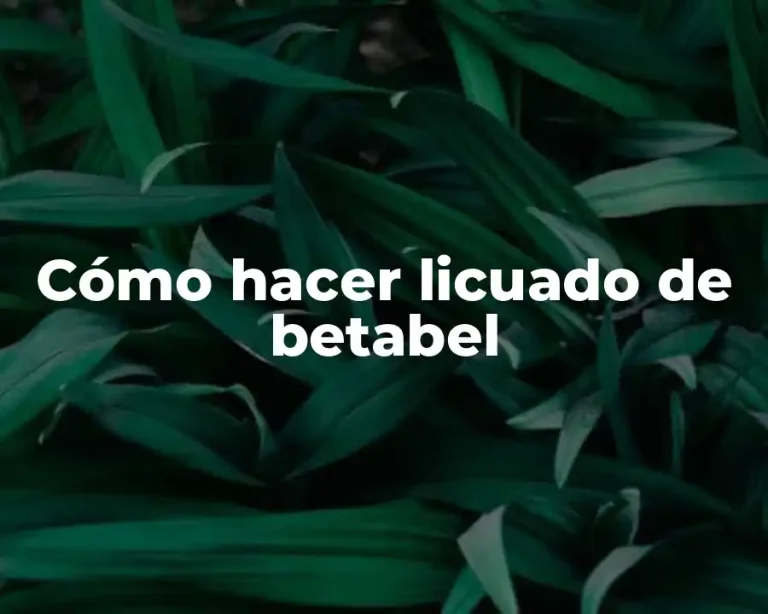 Cómo hacer licuado de betabel