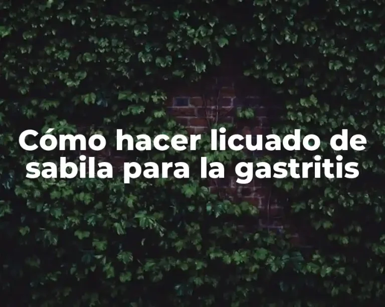 Cómo hacer licuado de sabila para la gastritis