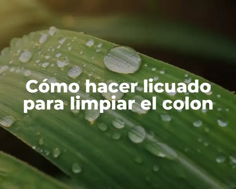 Cómo hacer licuado para limpiar el colon