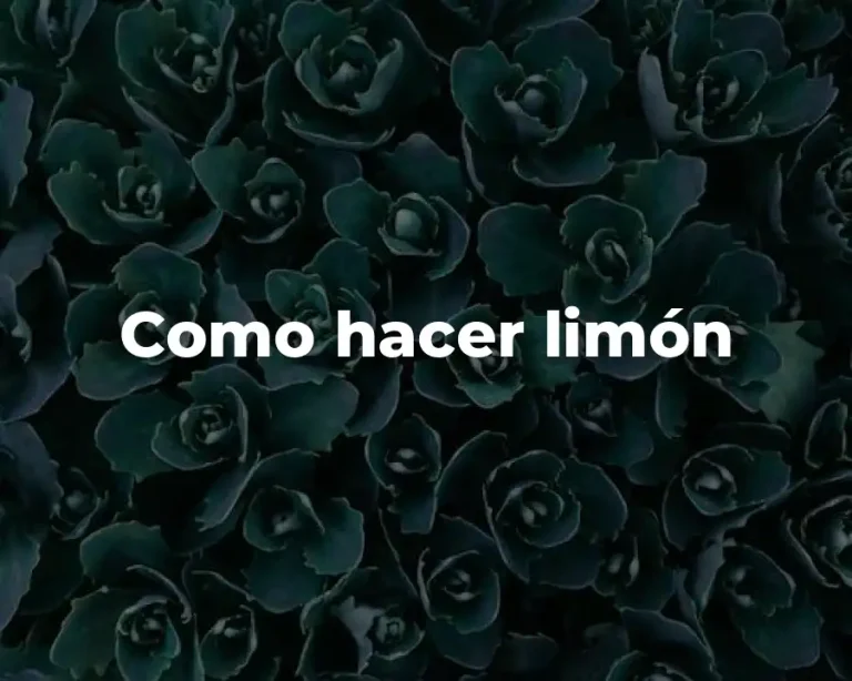 Como hacer limón