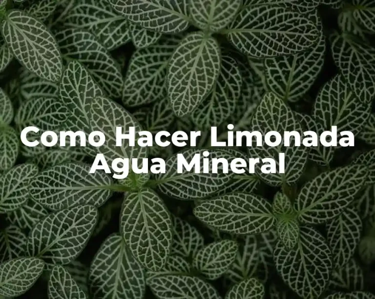 Como Hacer Limonada Agua Mineral