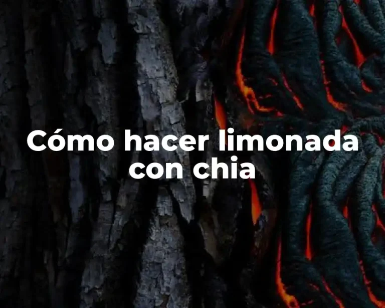 Cómo hacer limonada con chia