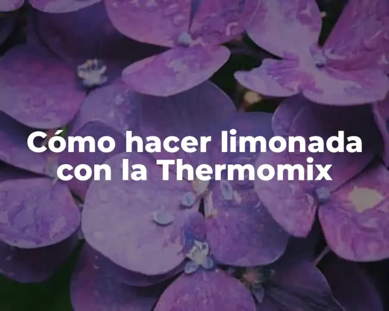 Cómo hacer limonada con la Thermomix
