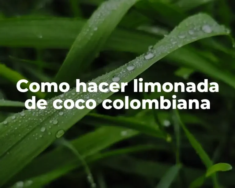 Como hacer limonada de coco colombiana