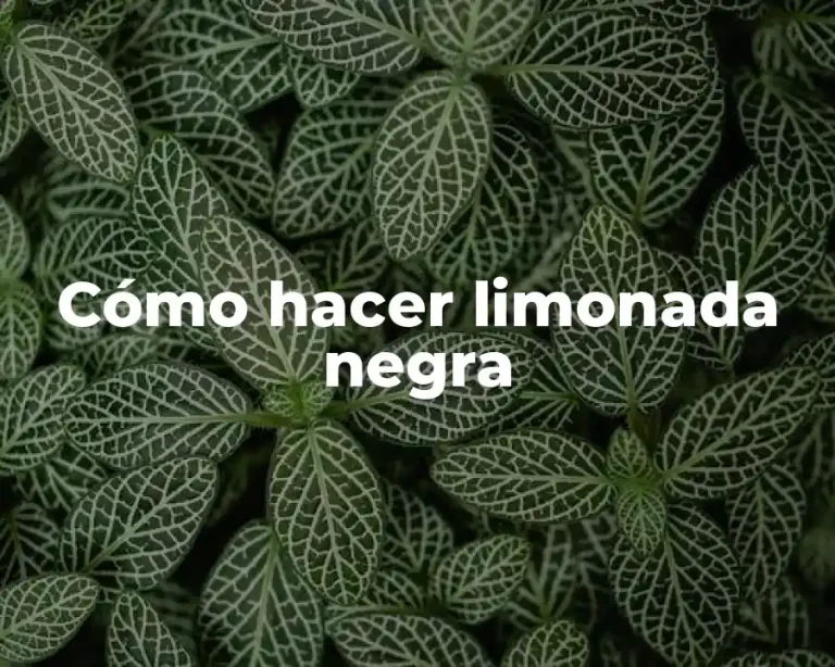 Cómo hacer limonada negra