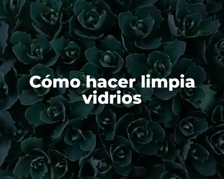Cómo hacer limpia vidrios