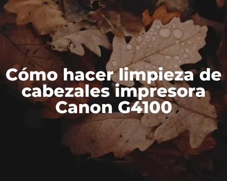 Cómo hacer limpieza de cabezales impresora Canon G4100