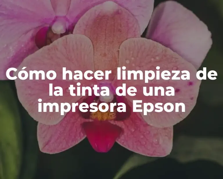 Cómo hacer limpieza de la tinta de una impresora Epson