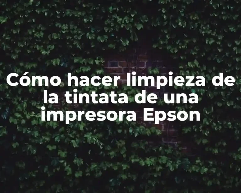Cómo hacer limpieza de la tintata de una impresora Epson
