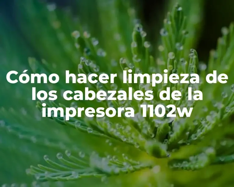 Cómo hacer limpieza de los cabezales de la impresora 1102w