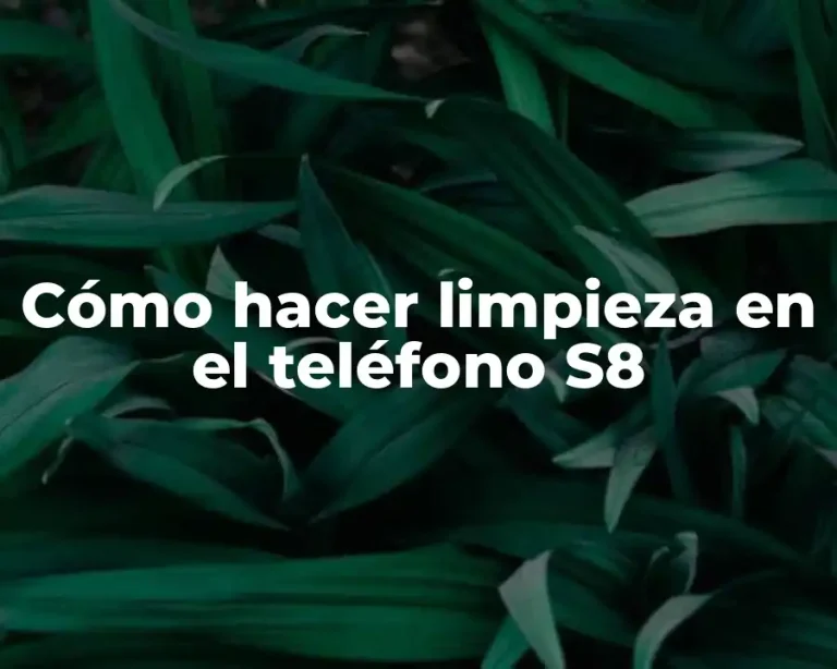 Cómo hacer limpieza en el teléfono S8