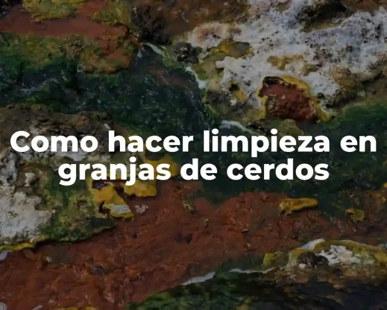 Como hacer limpieza en granjas de cerdos