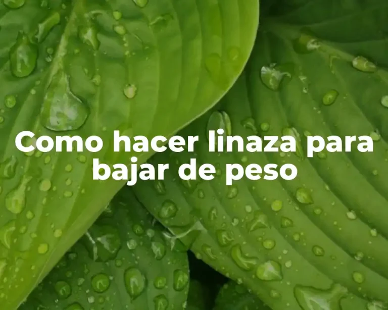 Como hacer linaza para bajar de peso