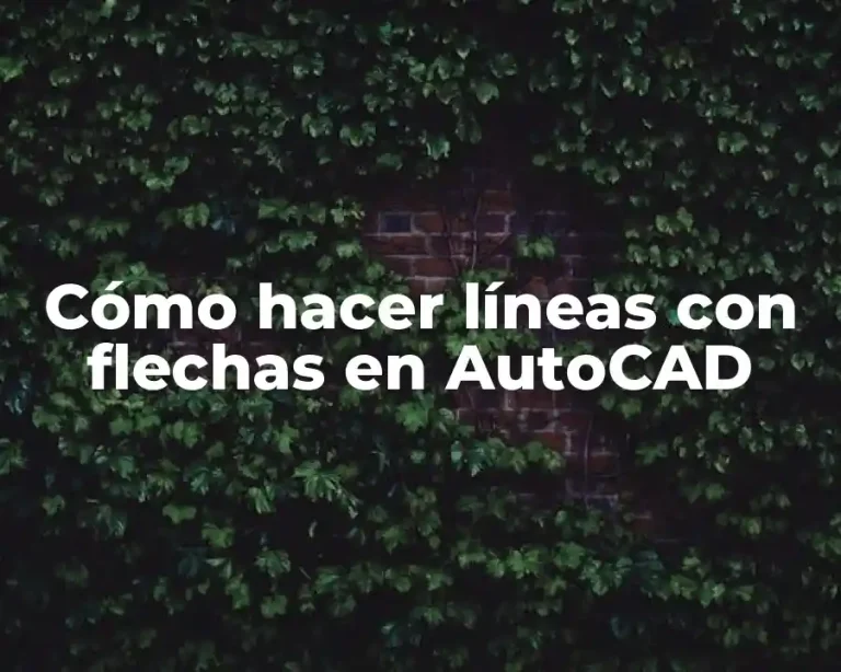 Cómo hacer líneas con flechas en AutoCAD