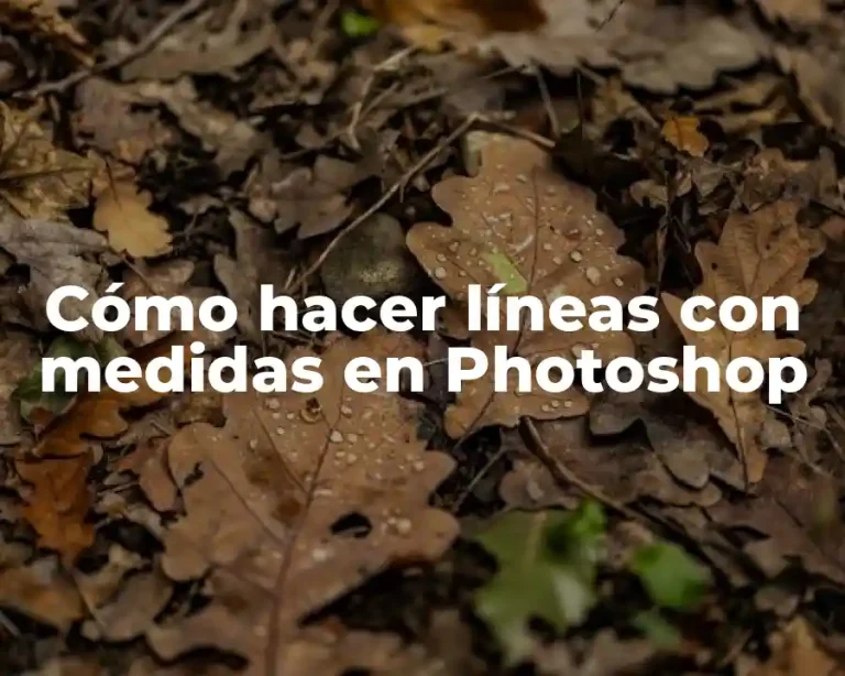 Cómo hacer líneas con medidas en Photoshop