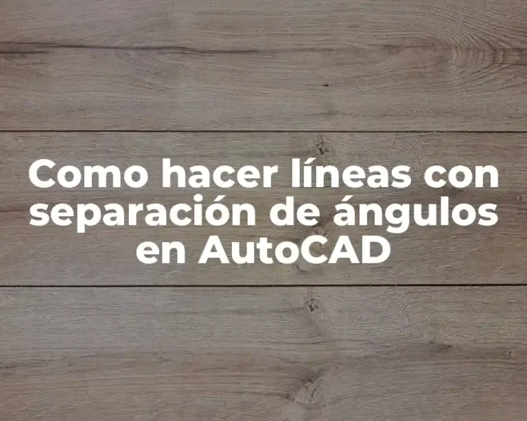 Como hacer líneas con separación de ángulos en AutoCAD