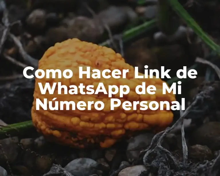 Como Hacer Link de WhatsApp de Mi Número Personal