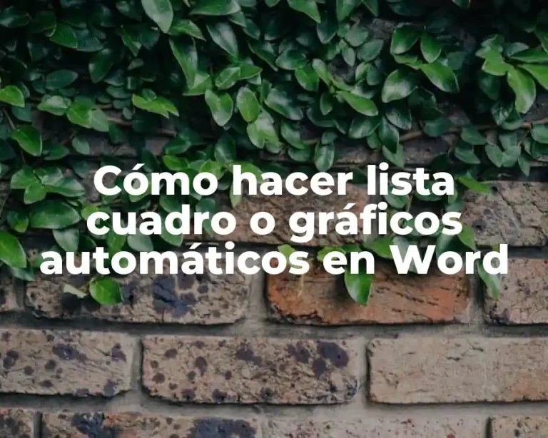 Cómo hacer lista cuadro o gráficos automáticos en Word