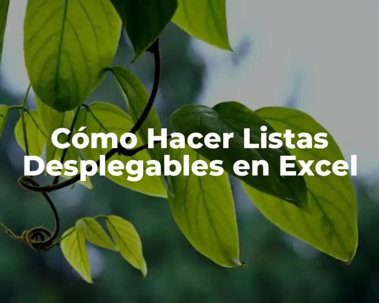 Cómo Hacer Listas Desplegables en Excel
