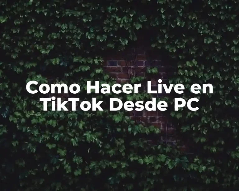 Como Hacer Live en TikTok Desde PC