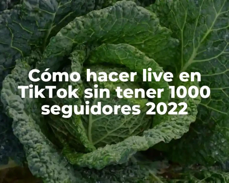 Cómo hacer live en TikTok sin tener 1000 seguidores 2022