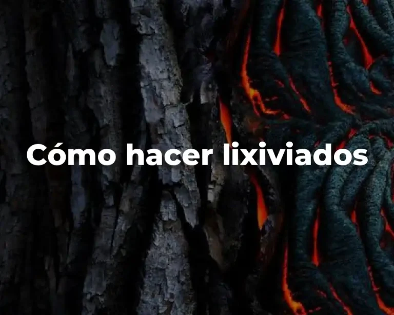 Cómo hacer lixiviados