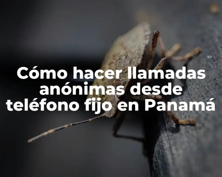 Cómo hacer llamadas anónimas desde teléfono fijo en Panamá
