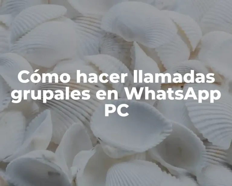 Cómo hacer llamadas grupales en WhatsApp PC