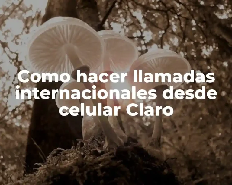 Como hacer llamadas internacionales desde celular Claro