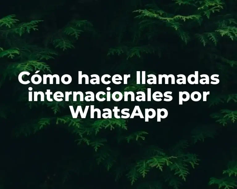 Cómo hacer llamadas internacionales por WhatsApp