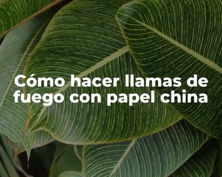 Cómo hacer llamas de fuego con papel china