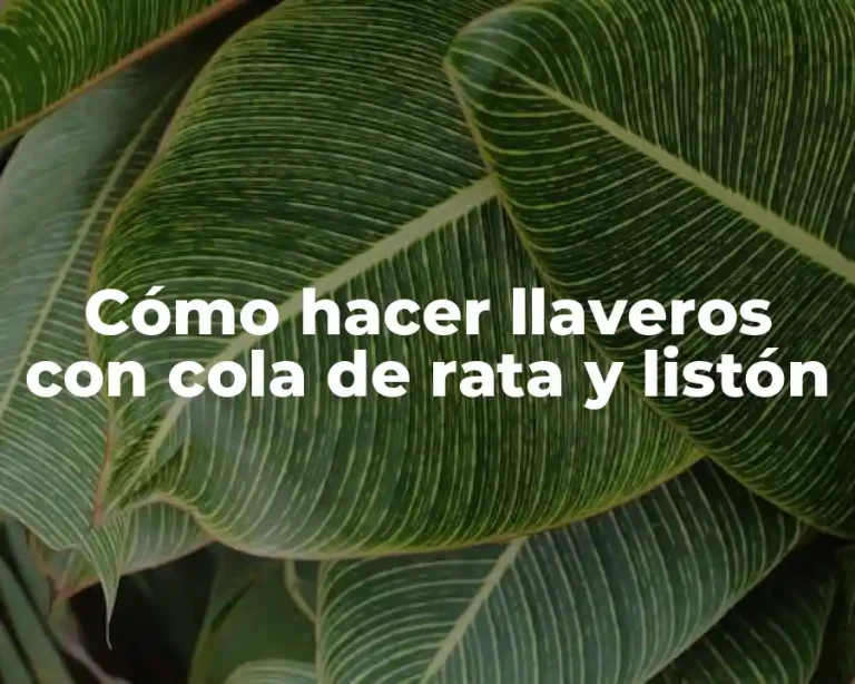 Cómo hacer llaveros con cola de rata y listón