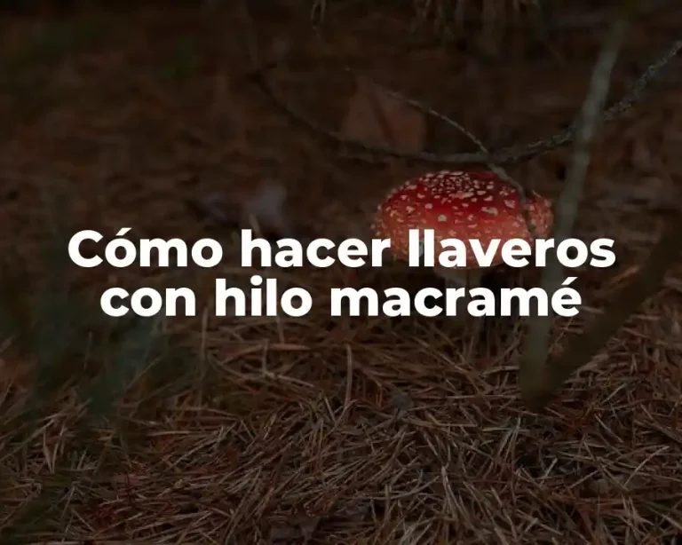 Cómo hacer llaveros con hilo macramé