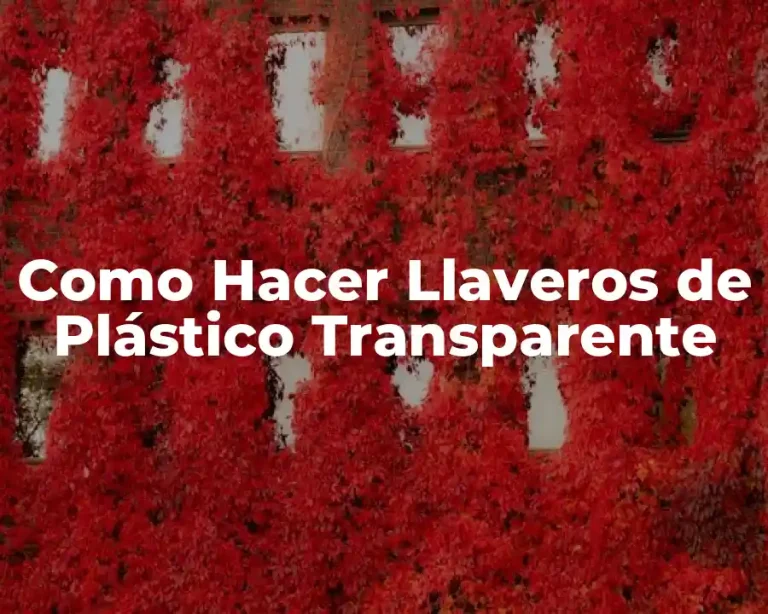 Como Hacer Llaveros de Plástico Transparente