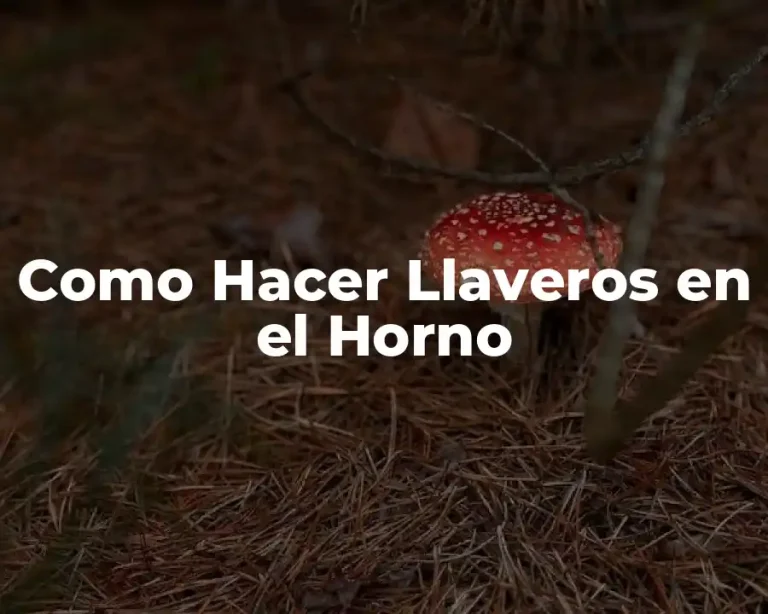 Como Hacer Llaveros en el Horno