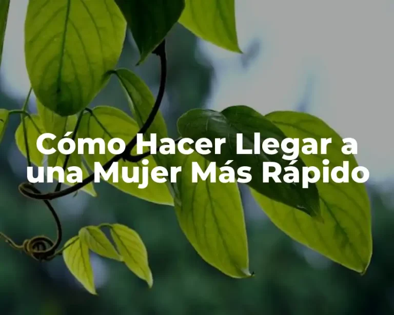 Cómo Hacer Llegar a una Mujer Más Rápido
