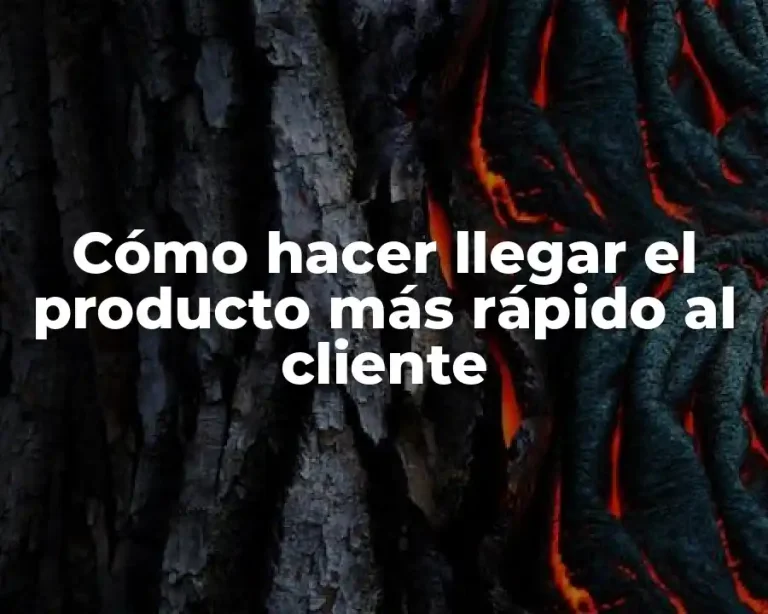 Cómo hacer llegar el producto más rápido al cliente