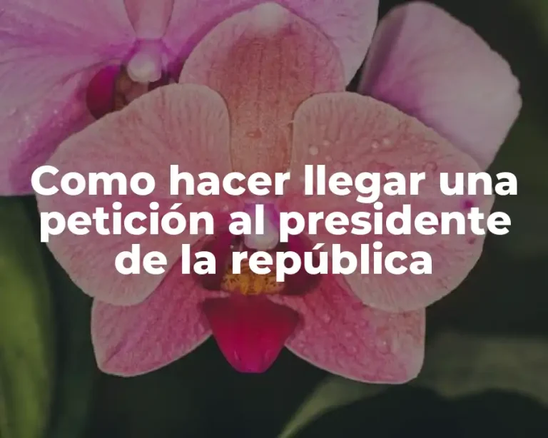 Como hacer llegar una petición al presidente de la república