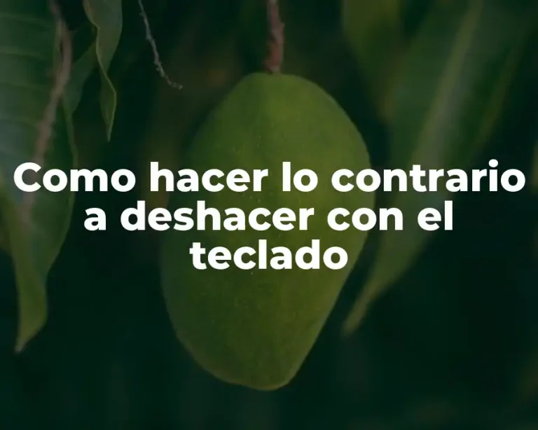 Como hacer lo contrario a deshacer con el teclado