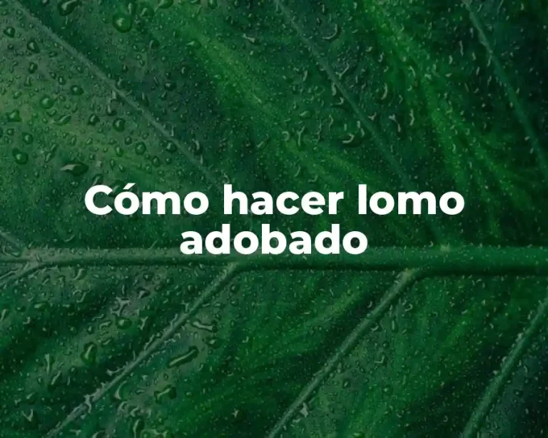 Cómo hacer lomo adobado