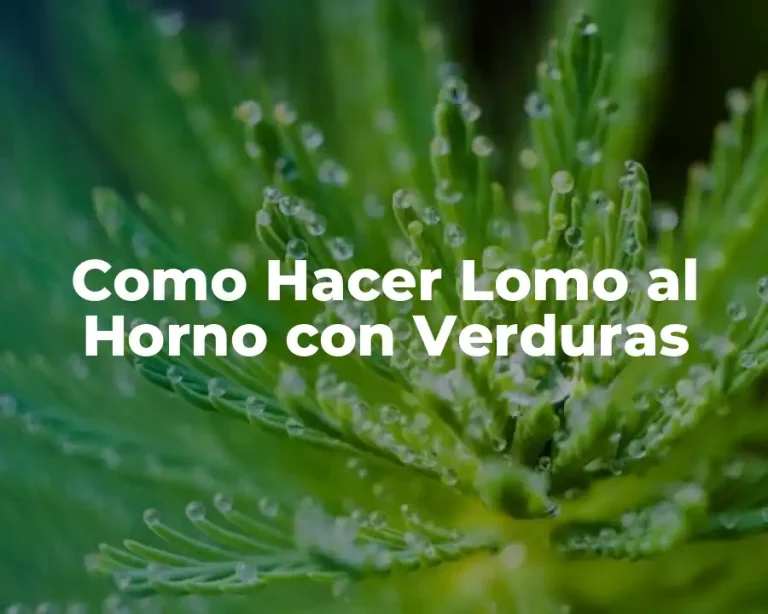 Como Hacer Lomo al Horno con Verduras
