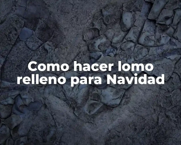 Como hacer lomo relleno para Navidad