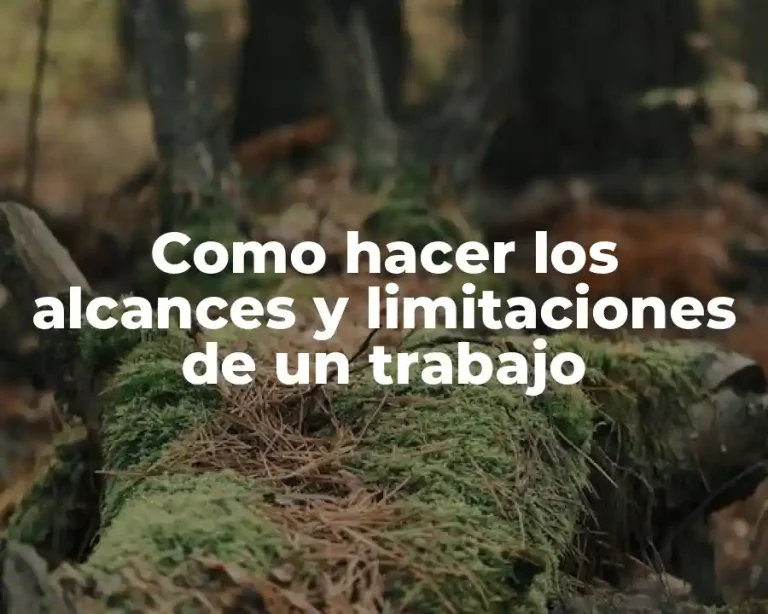 Como hacer los alcances y limitaciones de un trabajo