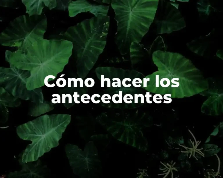 Cómo hacer los antecedentes