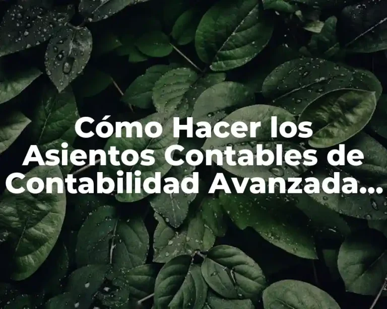 Cómo Hacer los Asientos Contables de Contabilidad Avanzada en Bolivia