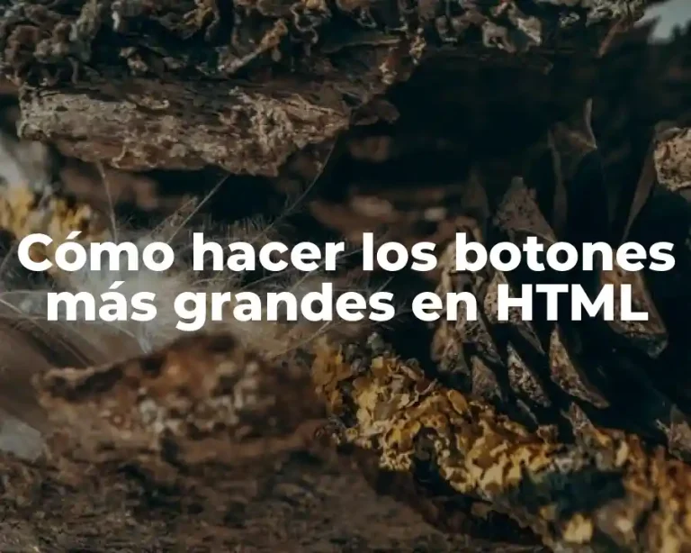 Cómo hacer los botones más grandes en HTML