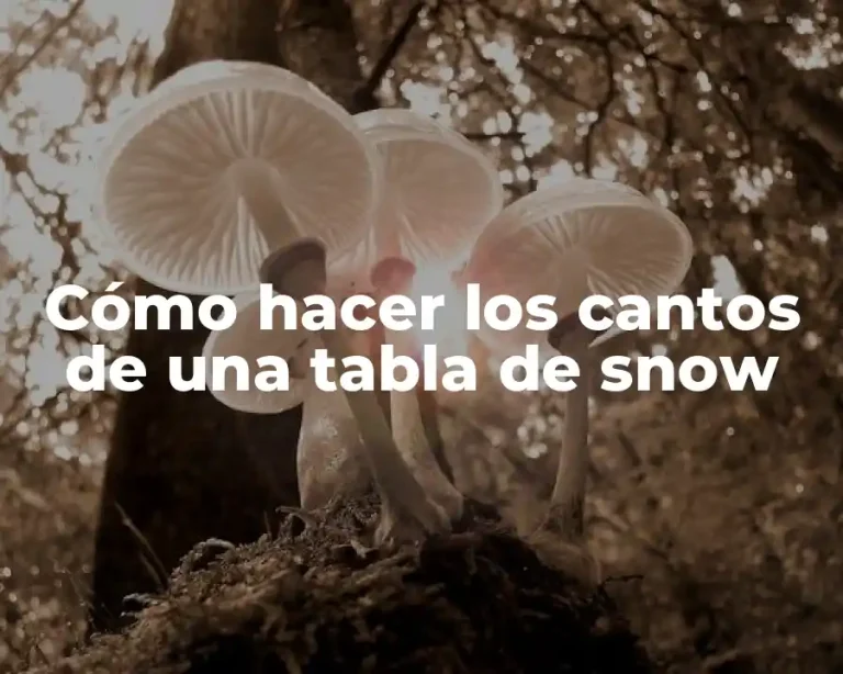 Cómo hacer los cantos de una tabla de snow