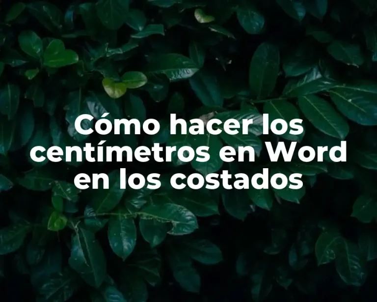 Cómo hacer los centímetros en Word en los costados